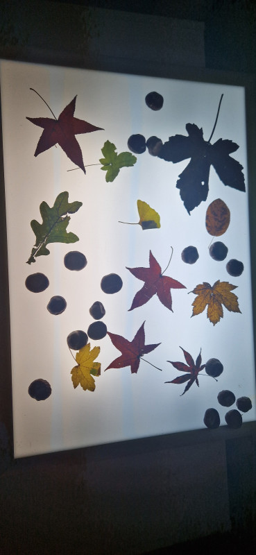 Herbstbilder